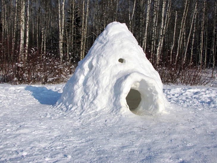 casa de neve